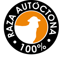 montesina197x215-e1774952226335